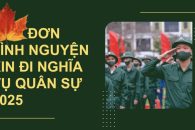 THANH NIÊN PHƯỜNG NAM GIA NGHĨA VIẾT ĐƠN TÌNH NGUYỆN NHẬP NGŨ NĂM 2026