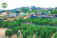 THÔNG BÁO: CHỢ HOA XUÂN TẾT NGUYÊN ĐÁN BÍNH NGỌ 2026