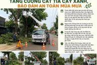 PHƯỜNG NAM GIA NGHĨA TĂNG CƯỜNG CẮT TỈA CÂY XANH, BẢO ĐẢM AN TOÀN MÙA MƯA