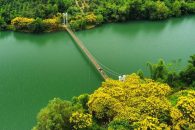 🌿 Phường Nam Gia Nghĩa – Vùng đất hội tụ, bản sắc và phát triển