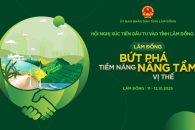 🌿 Lâm Đồng tổ chức Hội nghị Xúc tiến đầu tư năm 2025 – “Lâm Đồng: Bứt phá tiềm năng, nâng tầm vị thế”🌿