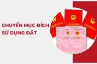 Về việc cho phép chuyển mục đích sử dụng đất