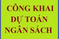 Về việc công khai số liệu và thuyết minh tình hình thực hiện dự toán quý 2 năm 2026 của phòng Văn hóa – Xã hội