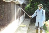 TUYÊN TRUYỀN THÁNG VỆ SINH TIÊU ĐỘC, KHỬ TRÙNG MÔI TRƯỜNG